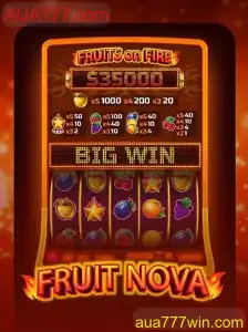 Explorando o Jogo FruitNova: Um Clássico com Inovações Modernas